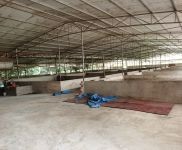 (出租) （51旺铺）桂林市秀峰4000平大型养猪场出租设备设施齐全