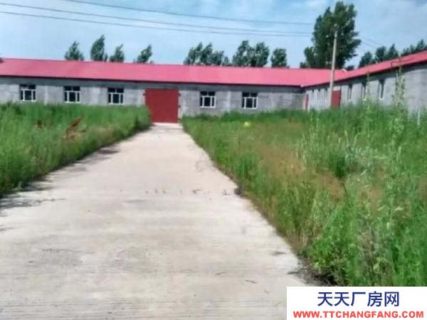 郊区举架高5m 宽15m 长60m 坚果厂房