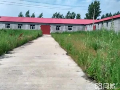 郊区举架高5m 宽15m 长60m 坚果厂房图1