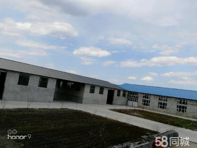 郊区环境优雅，交通便利，服装厂房图1