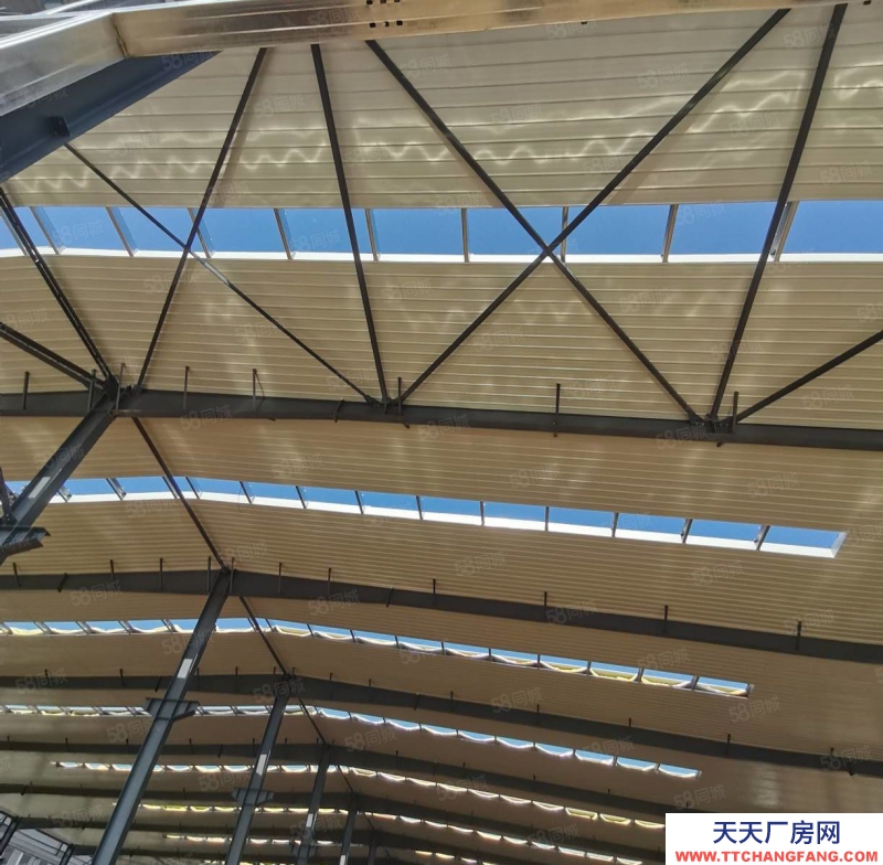 衡水 武邑县(出售) 手续齐全独立预制调理肉制品厂房出售，可环评消防贷款办证，大产权