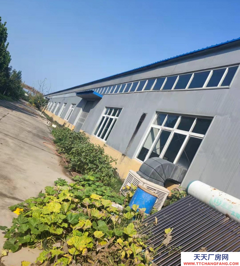 衡水 武强 预制调理肉制品厂房 出租) 厂房及办公楼