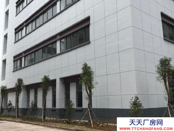 赣州市南康机加工厂房 龙岭智造谷标准厂房一楼出租
