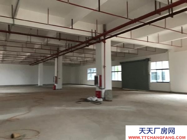 赣州市南康机加工厂房 龙岭智造谷标准厂房一楼出租
