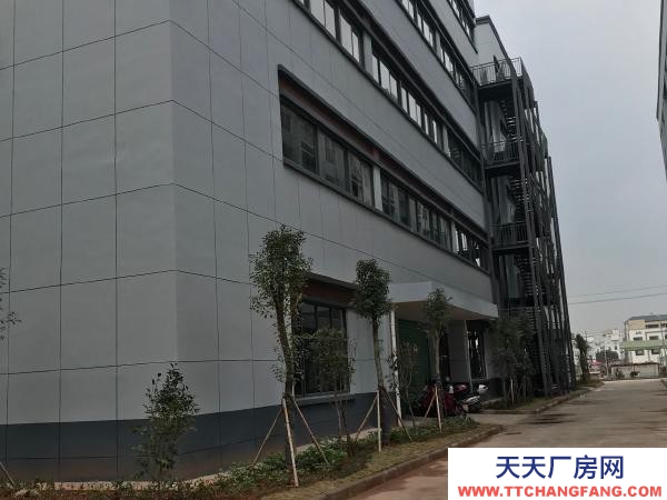 赣州市南康机加工厂房 龙岭智造谷标准厂房一楼出租