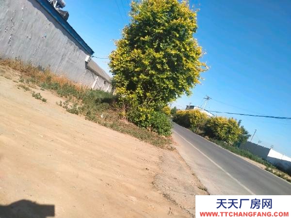 衡水 饶阳(出租发酵肉制品厂房) 独门独院水电齐全交通便利