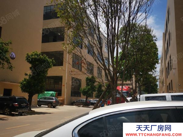 赣州市南康家具厂 南康龙领东标准厂房转让