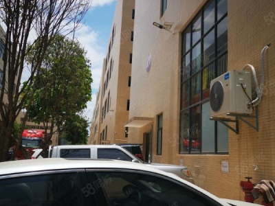 赣州市南康家具厂 南康龙领东标准厂房转让图2