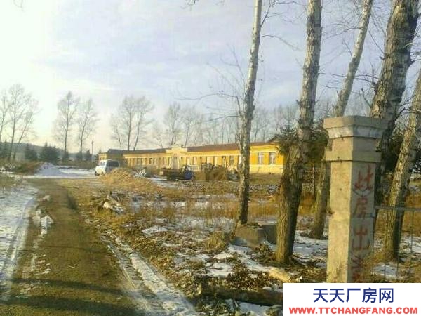 桦南佳木斯孟家岗木材加工厂房出租出售