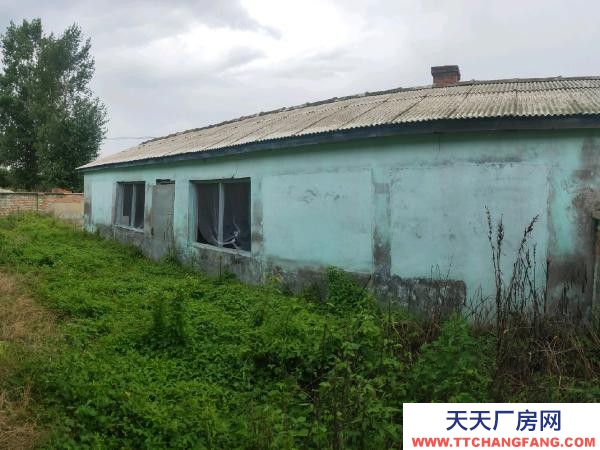 汤原前后三趟房，彩钢房盖，门窗都是新换的