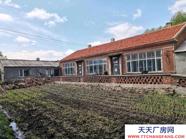茄子河国道边，交通方便，有单独进车的门。养殖厂房