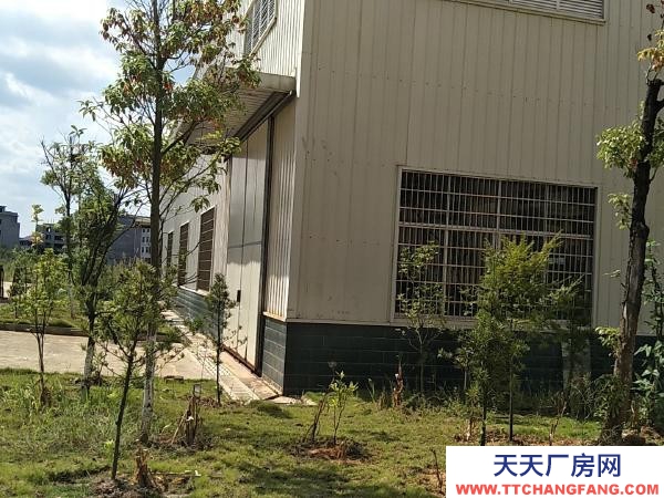 赣州市瑞金机加工厂房  瑞金经开区323国道边 厂房 1300平米