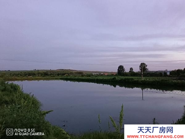 新兴大院平房，养猪场，农家大院，可主可养殖