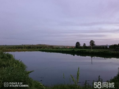 新兴大院平房，养猪场，农家大院，可主可养殖图1
