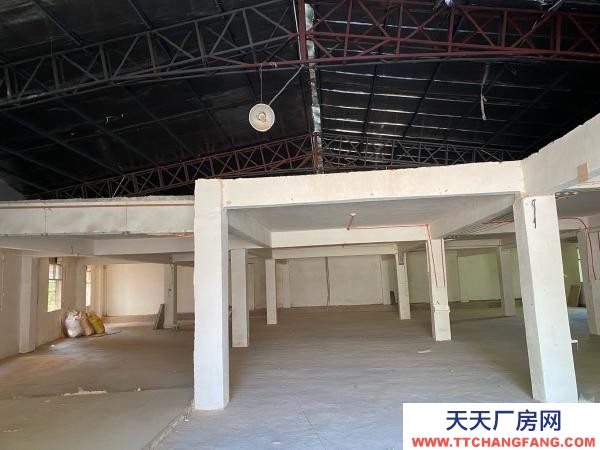 赣州市瑞金家具厂 厂房仓库出租，沙子岗石井保障房