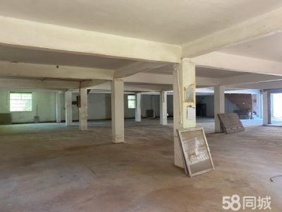 赣州市瑞金家具厂 厂房仓库出租，沙子岗石井保障房图3