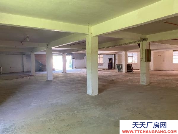 赣州市瑞金家具厂 厂房仓库出租，沙子岗石井保障房