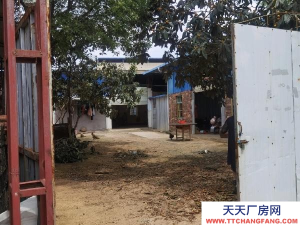 赣州市瑞金机加工厂房  可做厂房，仓库，多间工人房