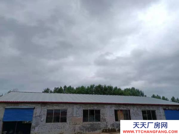 东安西十一江桥，过兴隆小桥去海浪村方向，500米，道北 养殖厂房