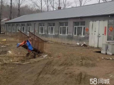 东安适合养猪场，有现成的猪舍图1