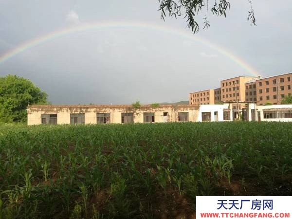 东安二发电对面有一办公楼和大院对外出售价格面议