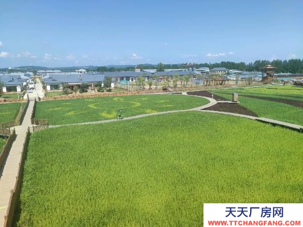 阳明一条路御景园附近大院养殖厂房