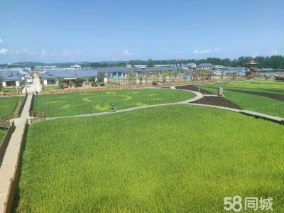 阳明一条路御景园附近大院养殖厂房图1