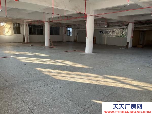 赣州市瑞金电子厂房 厂房可用于 服装厂 电子厂 培训中心