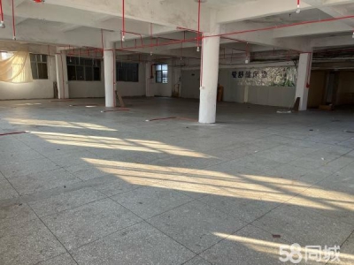 赣州市瑞金电子厂房 厂房可用于 服装厂 电子厂 培训中心图1