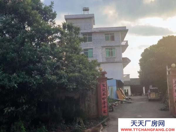 赣州市信丰机加工厂房  交通便利，临近国道，