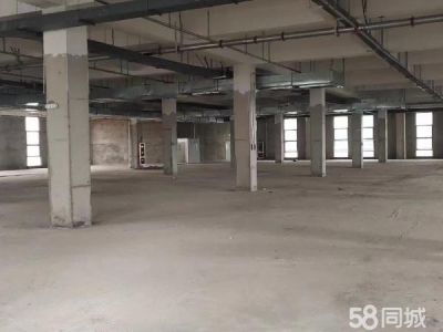 赣州市信丰调味品厂房  出租信丰高标准厂房适用于电商直播加工办公仓储图3