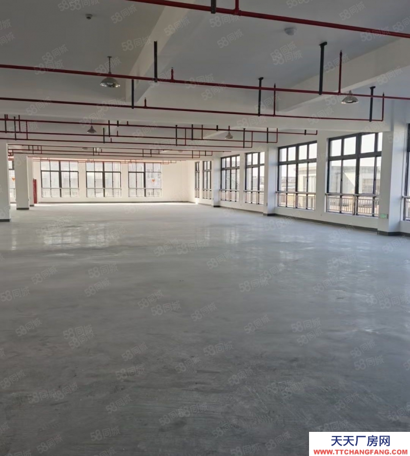 台州市三门(出租) 三门江口2000平厂房出租，环境优美出入方便，  茶叶及相关制品