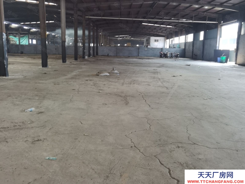 台州市三门(出租) 出租，三门滨海新城厂房2800平米，独门独院  粮食加工品