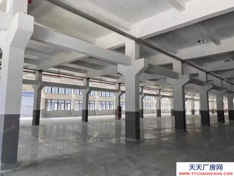 台州市三门(出租) 出租三门滨海新城多层厂房14300平方另外可加单层3500平 纺织，服装