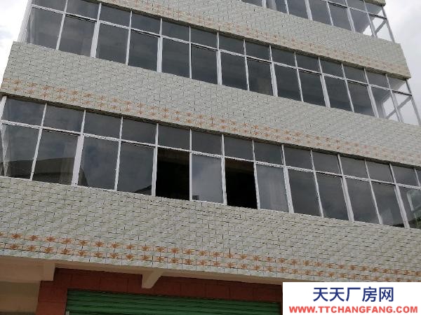 赣州市信丰物资仓库 国道旁206平米厂房仓库出租