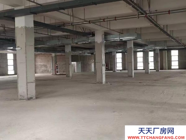 赣州市信丰物资仓库 出租信丰标准仓库，厂房适用于电商直播，加工办工