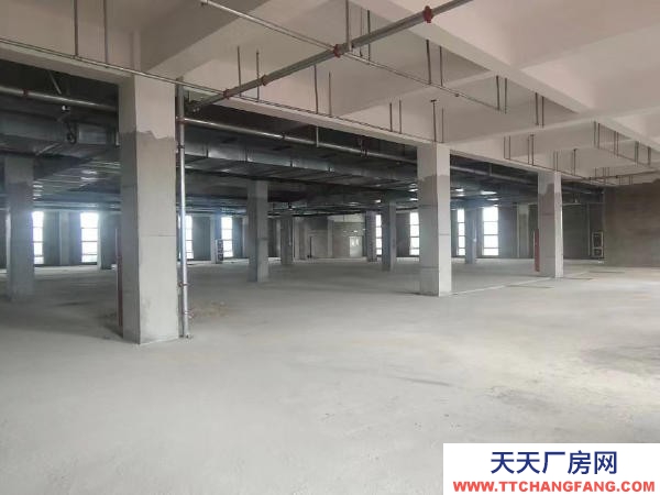 赣州市信丰物资仓库 出租信丰标准仓库，厂房适用于电商直播，加工办工