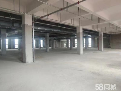 赣州市信丰物资仓库 出租信丰标准仓库，厂房适用于电商直播，加工办工