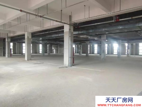 赣州市信丰物资仓库 出租赣州信丰高标准仓库厂房适用于电商直播，仓储加工，办公室