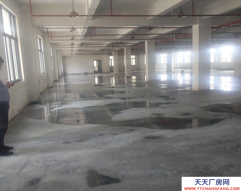 台州市三门(出售) 三门三角塘28亩厂房，建筑面积6000平方出售，诚心出售 食糖