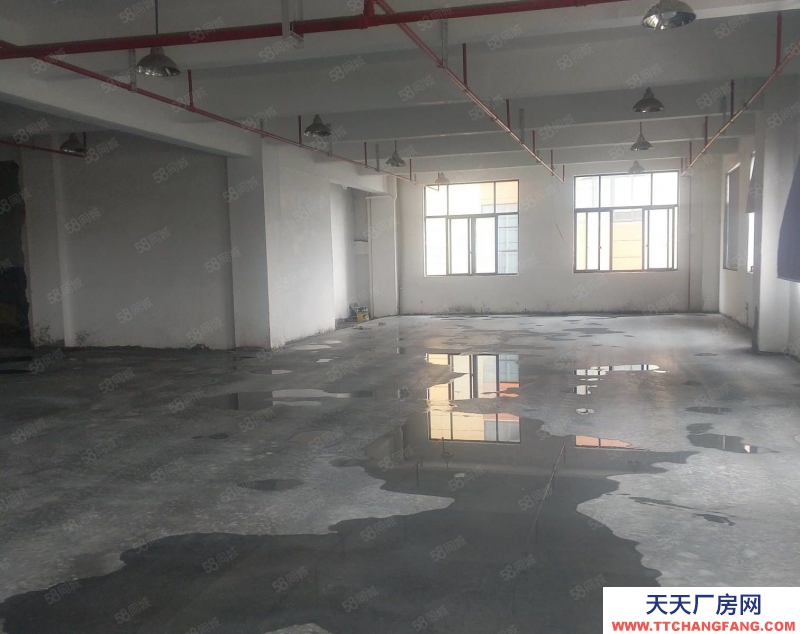 台州市三门(出售) 三门三角塘28亩厂房，建筑面积6000平方出售，诚心出售 食糖