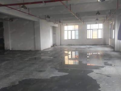 台州市三门(出售) 三门三角塘28亩厂房，建筑面积6000平方出售，诚心出售 食糖图2
