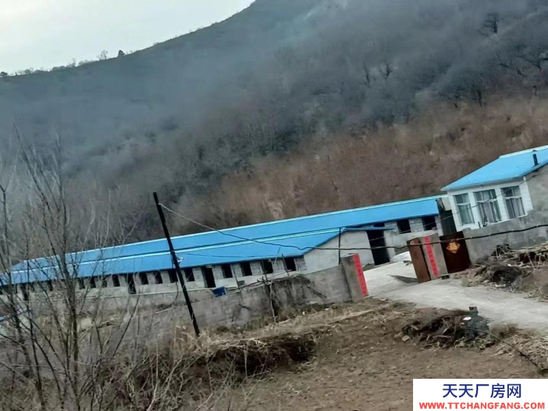 承德 承德县(出售) 两排养殖场，一套住房