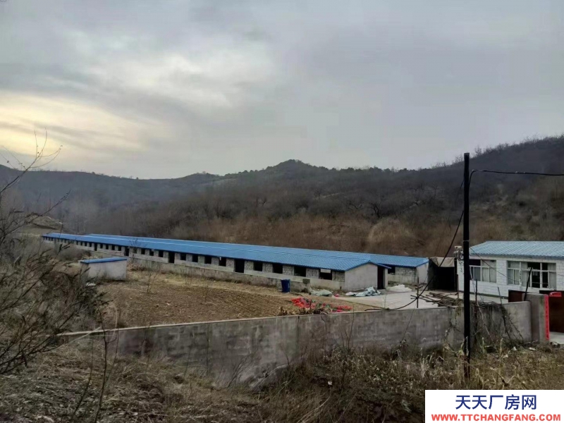承德 承德县(出售) 两排养殖场，一套住房