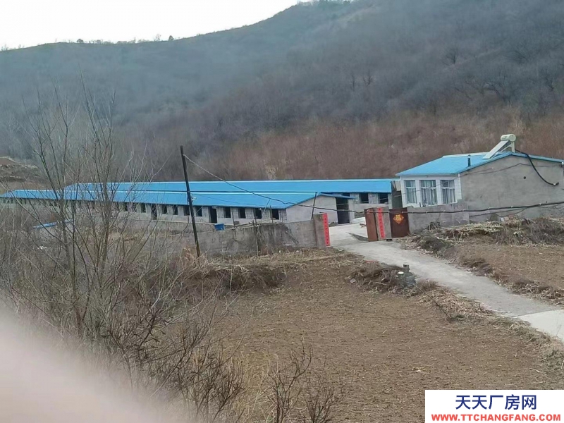承德 承德县(出售) 两排养殖场，一套住房