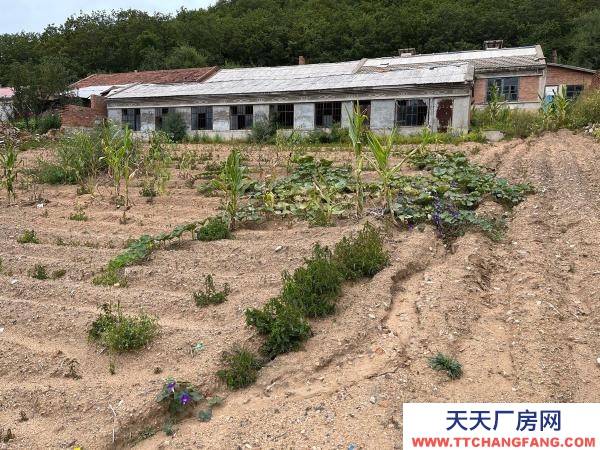 阳明吉房出售 出售房屋 房屋出售 出租房屋 出租农村鸡舍猪舍