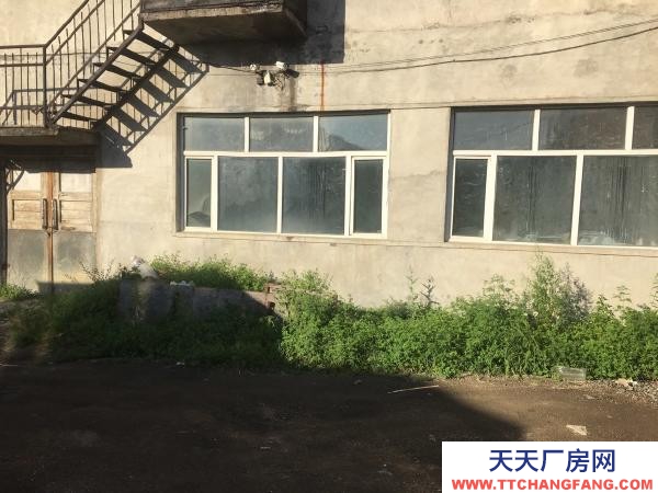 阳明出租库房可做厂房可做库房