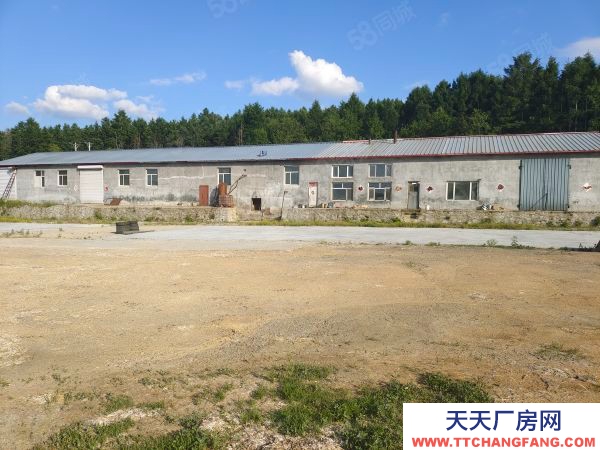 爱民出租出售爱民区白酒厂房900平占地9450平谈就成