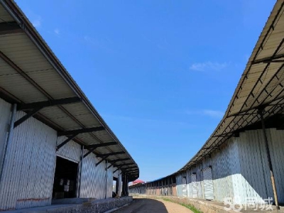 爱民出租标准库房、场地、站台库房图1