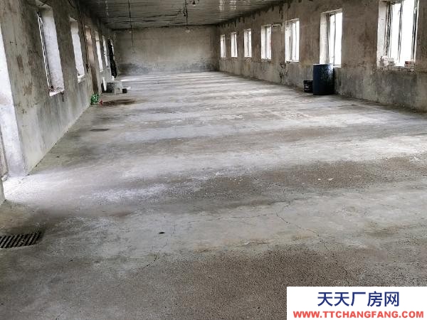 爱民三个调味品厂房900㎡院1200㎡